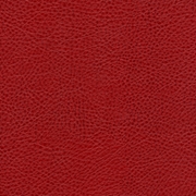 Picture of Avante Apple