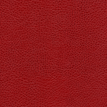 Picture of Avante Apple