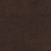 Picture of Avante Pecan