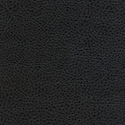 Picture of Avante Walnut
