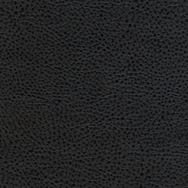 Picture of Avante Walnut
