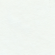 Picture of Avante White