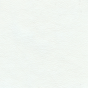 Picture of Avante White