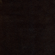 Picture of Boss Saddle