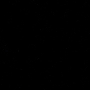Picture of Jaguar Black