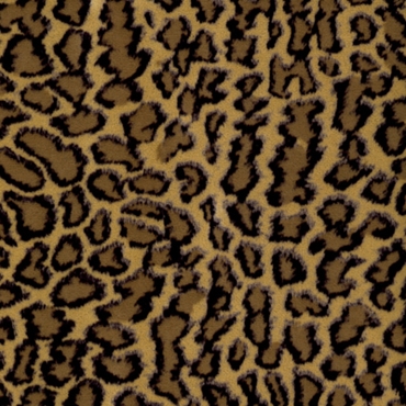 Picture of Bobcat