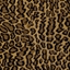 Picture of Bobcat