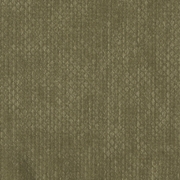 Picture of QS1001 Moss