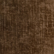 Picture of Patina Tan