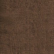 Picture of Everglade Crocodile Mink