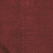Picture of Everglade Crocodile Copper