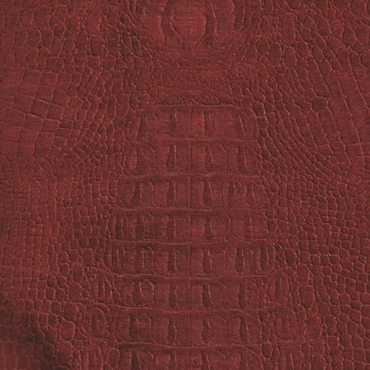 Picture of Everglade Crocodile Copper