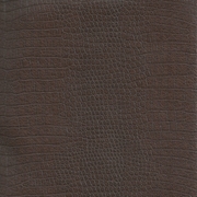 Picture of Crocodile Chocolate