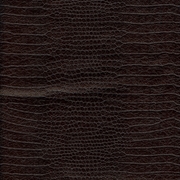 Picture of Crocodile Black