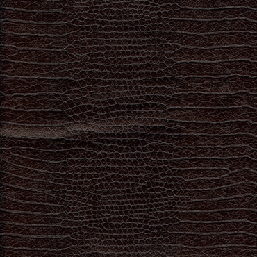 Picture of Crocodile Black